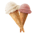 ice-cream-classic-selection